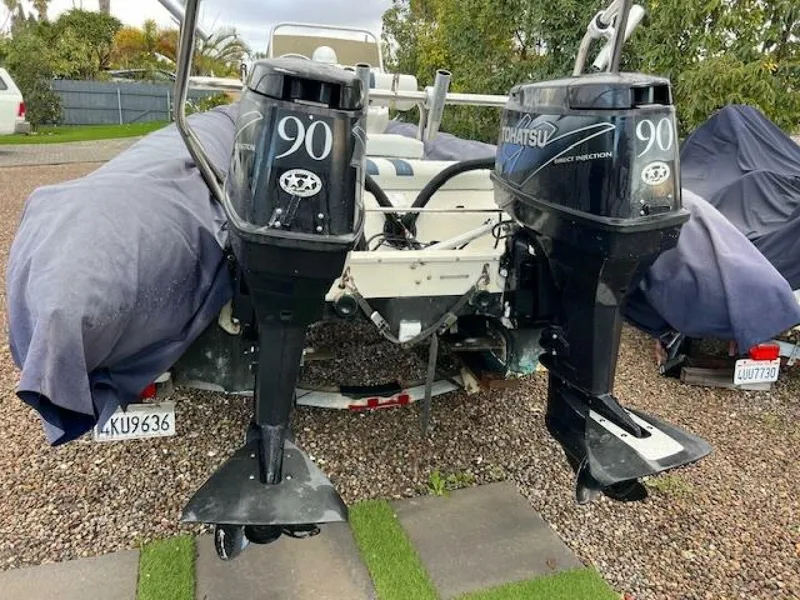 Slide: The Image of Hysucat 6.5 2001 - 5199712