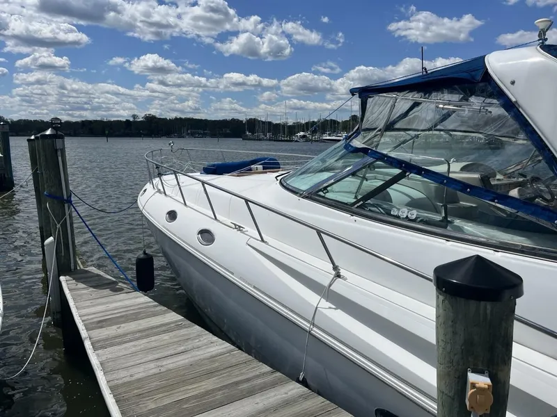 Slide: The Image of Cruisers 4270 1998 - 5429109