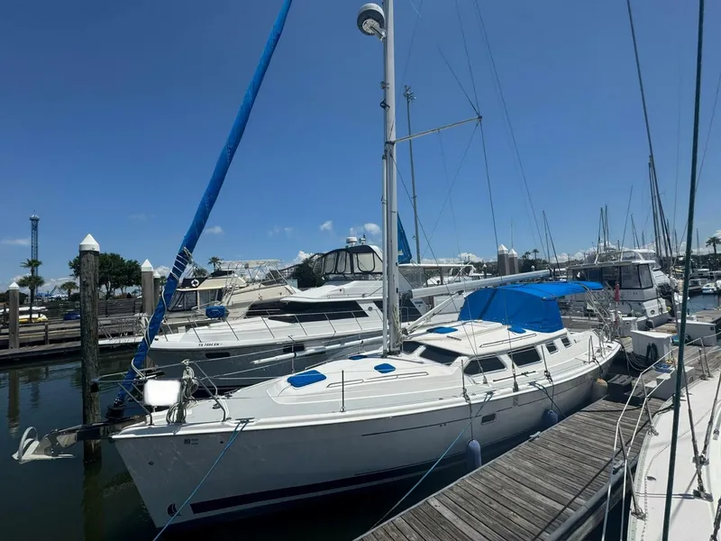 Slide: The Image of Hunter Deck Salon 2007 - 5546487