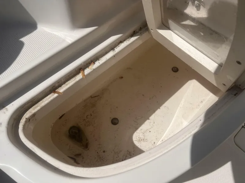 Slide: The Image of Live Well - 5206917