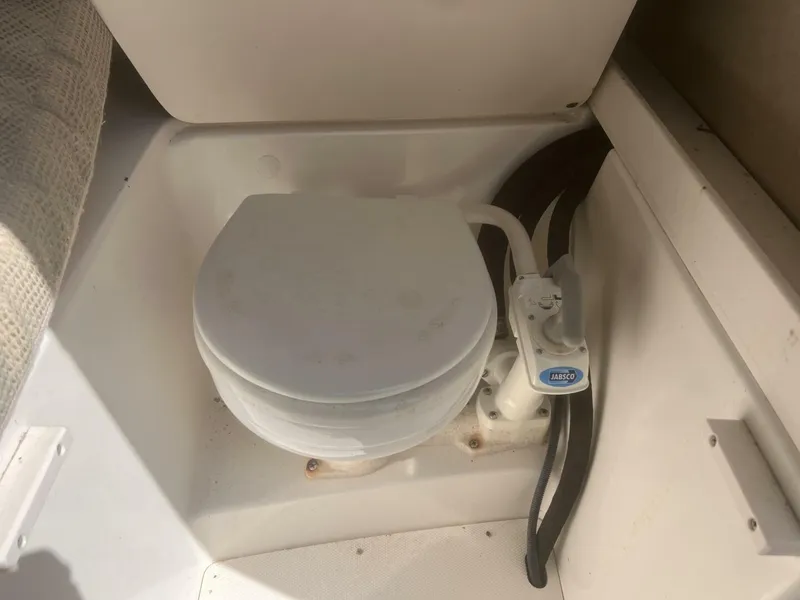 Slide: The Image of Head - 5206911