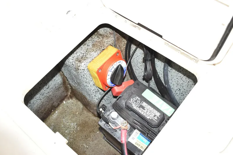 Slide: The Image of Carolina 19LS 2022 - 5212422