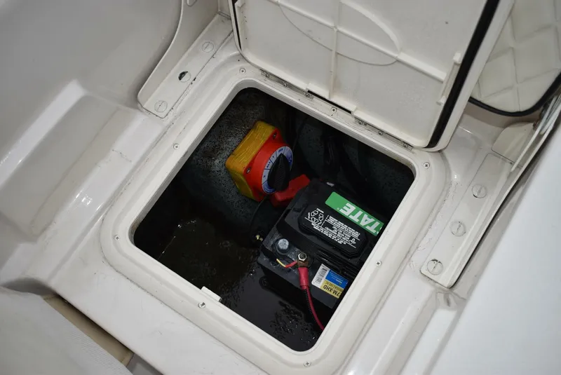 Slide: The Image of Carolina 19LS 2022 - 5212423