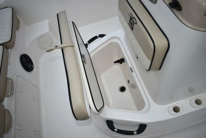 Slide: The Image of Carolina 19LS 2022 - 5212440