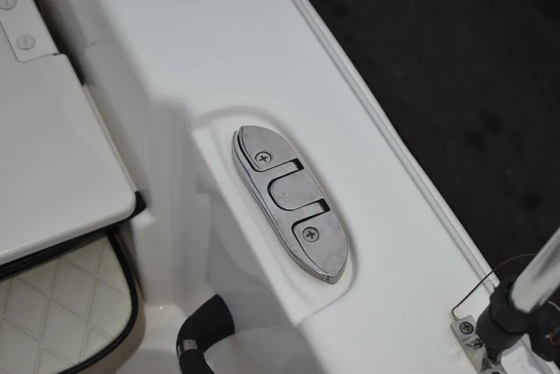 Slide: The Image of Carolina 19LS 2022 - 5212448