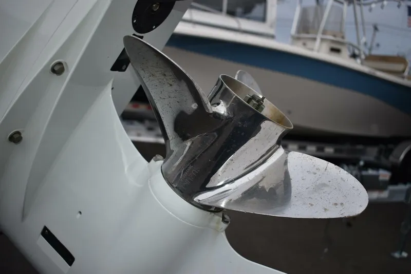 Slide: The Image of Carolina 19LS 2022 - 5212450