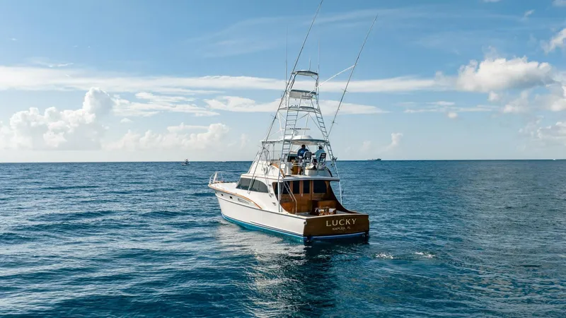 Slide: The Image of Rybovich 55 Convertible 1983 - 5551071