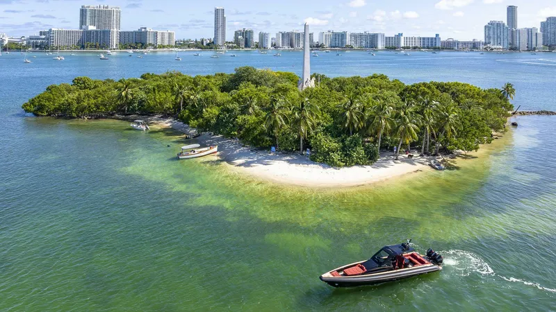 Slide: The Image of Omega_47_WEB 45 - 5217918