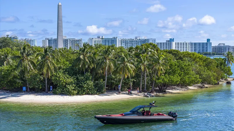 Slide: The Image of Omega_47_WEB 46 - 5217919