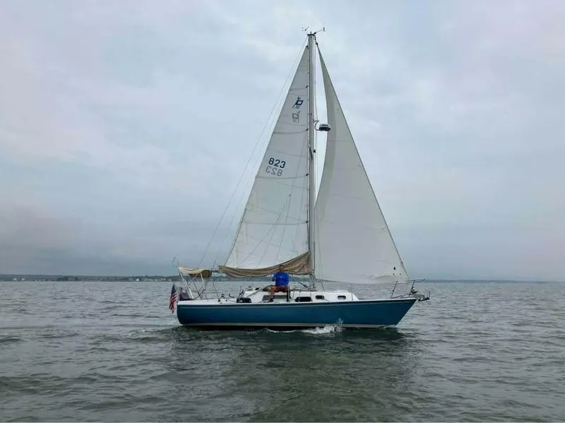 Slide: The Image of Pearson 30 1976 - 5225841