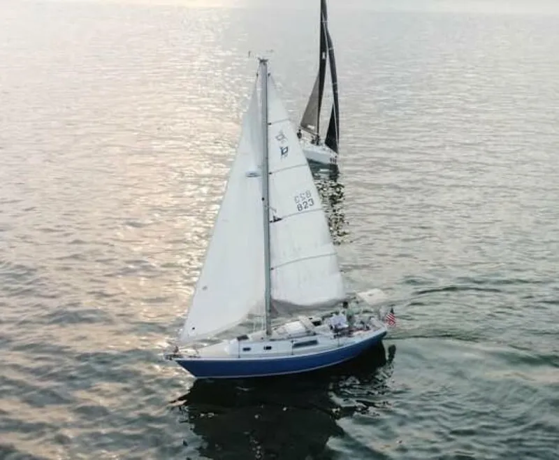 Slide: The Image of Pearson 30 1976 - 5225839