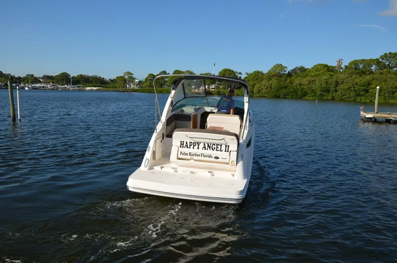 Slide: The Image of Sea Ray 260 Sundancer 2015 - 5225237