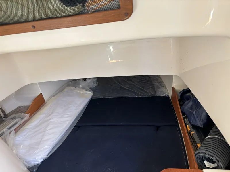 Slide: The Image of Grady-White Canyon 336 2024 - 5228670