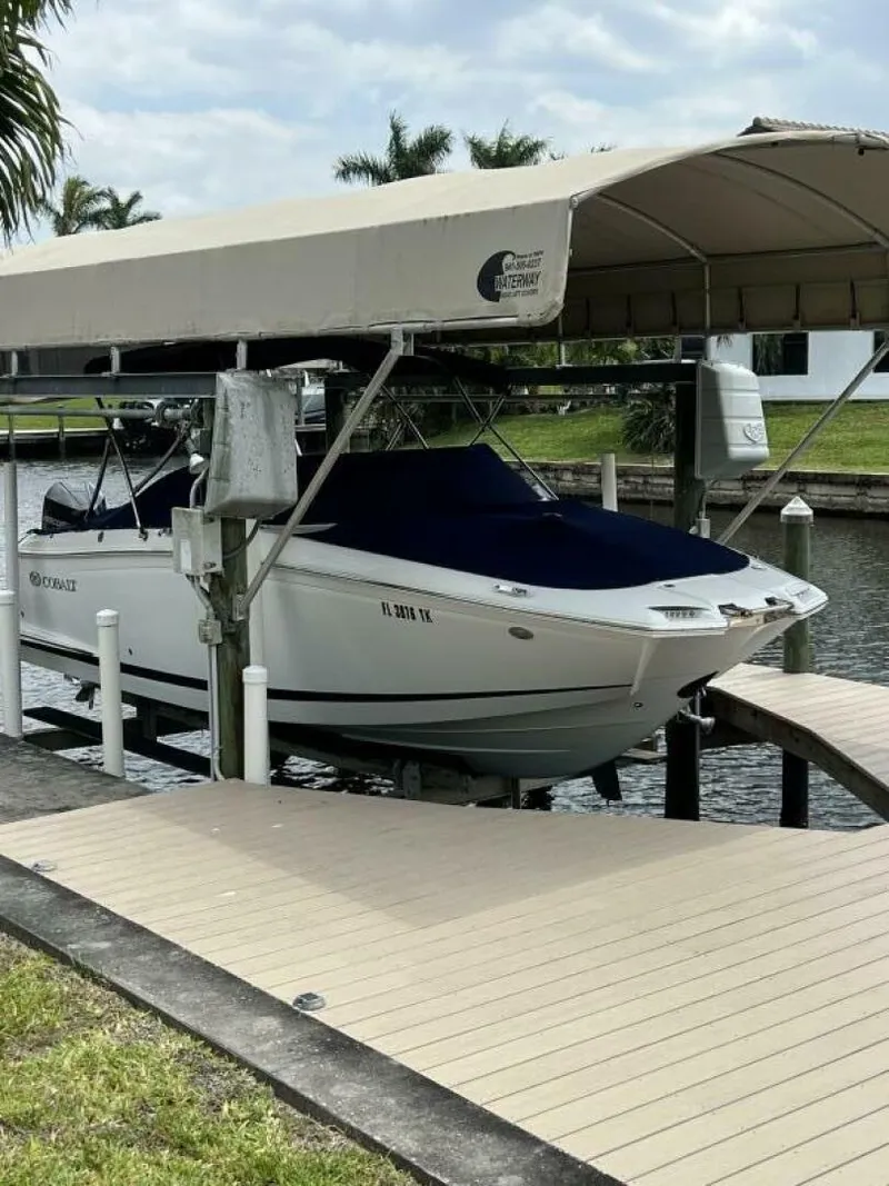 Slide: The Image of Cobalt 25 2020 - 5227358