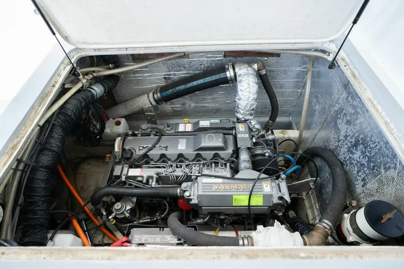 Slide: The Image of Pedigree Cat 525 Power Cat 2005 - 5228030