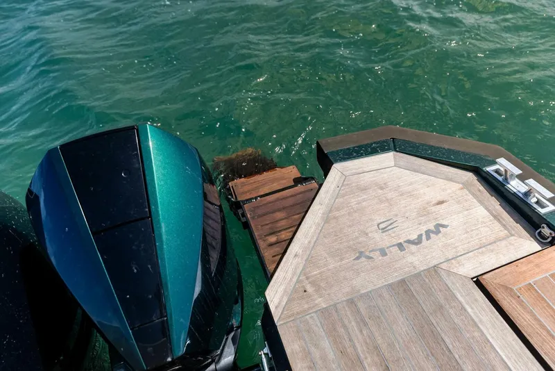 Slide: The Image of Wally Wallytender 43X 2023 - 5237283