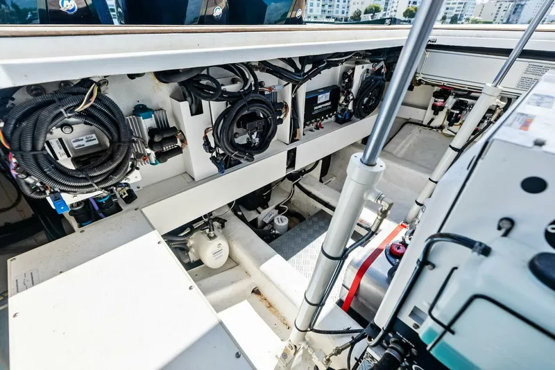 Slide: The Image of Wally Wallytender 43X 2023 - 5237286