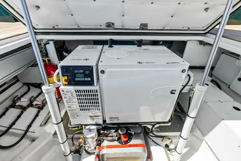 Slide: The Image of Wally Wallytender 43X 2023 - 5237287