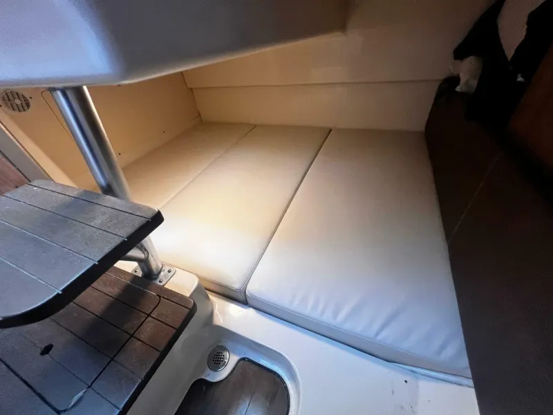 Slide: The Image of Boston Whaler 315 Conquest 2018 - 5231403