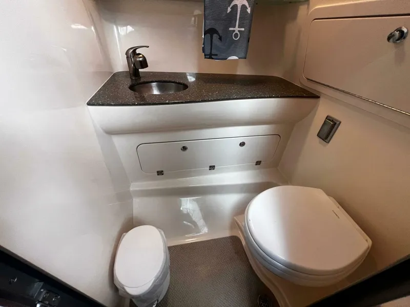 Slide: The Image of Boston Whaler 315 Conquest 2018 - 5231405