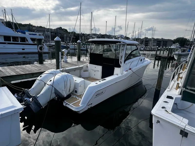 Slide: The Image of Boston Whaler 315 Conquest 2018 - 5231394