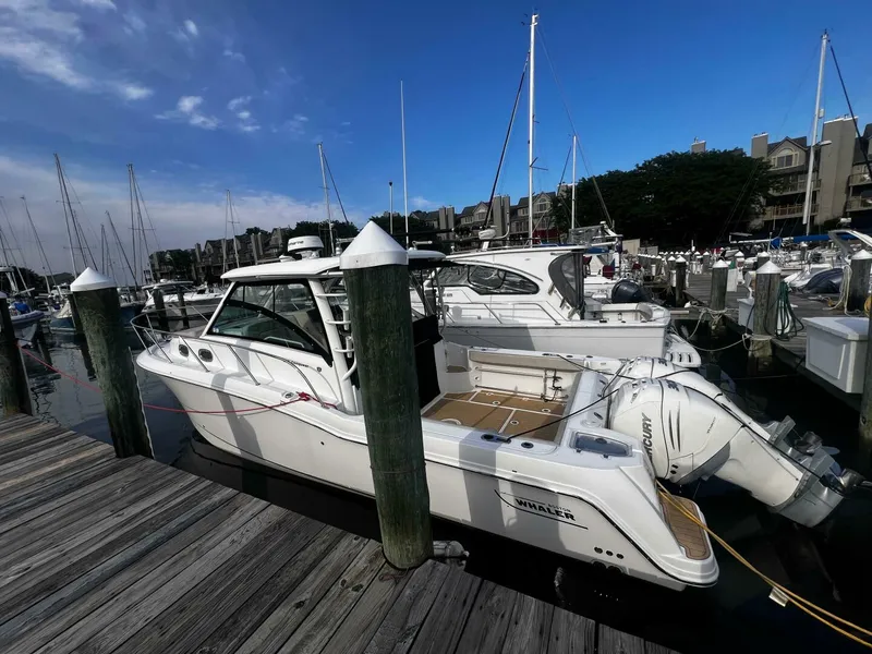 Slide: The Image of Boston Whaler 315 Conquest 2018 - 5231396