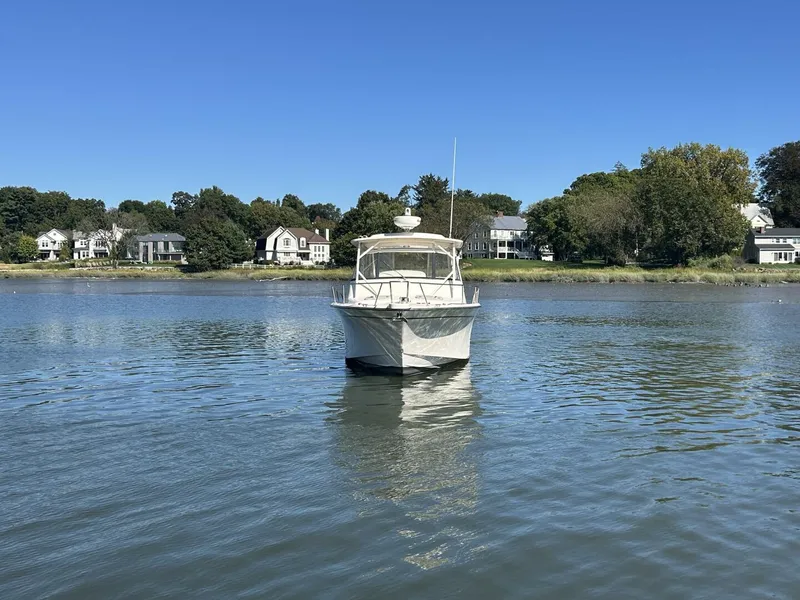 Slide: The Image of Grady-White 330 Express 2016 - 5666856