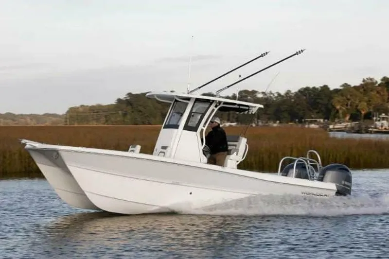 Slide: The Image of World Cat 235 CC 2022 - 5237083