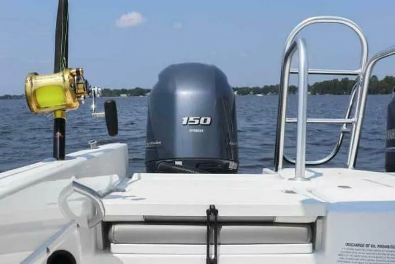 Slide: The Image of World Cat 235 CC 2022 - 5237084