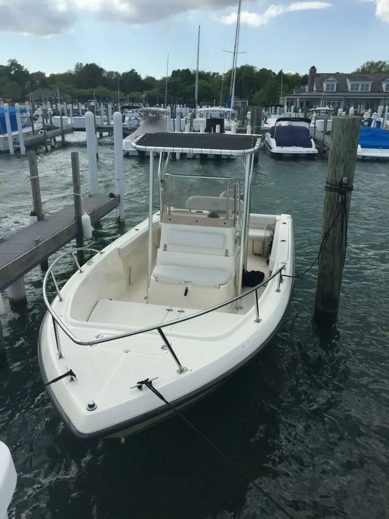 The Image of Pursuit 22 2003 - 5240308