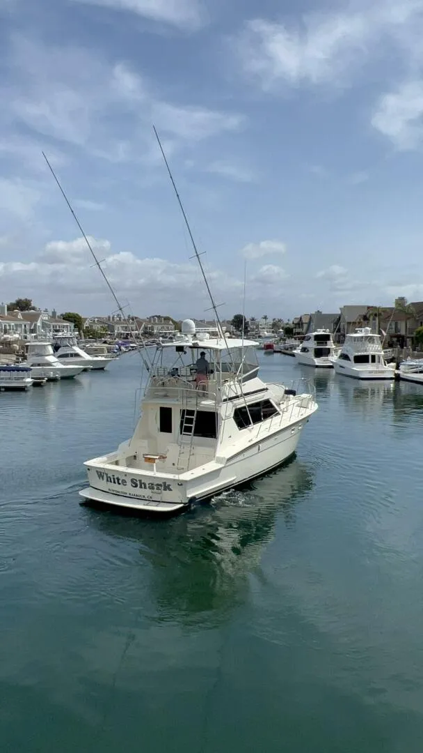 Slide: The Image of Hatteras Convertible 1988 - 5378448