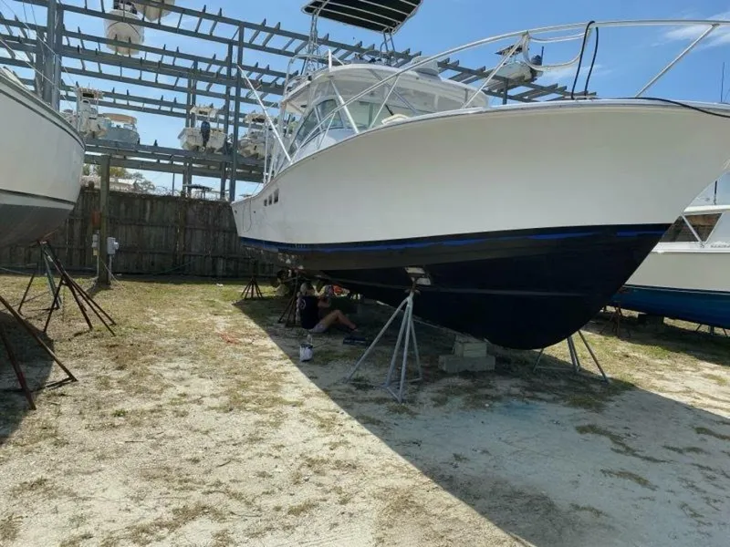 Slide: The Image of Luhrs 36 2000 - 5242119