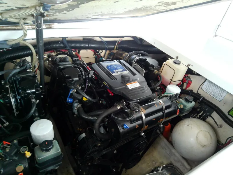 Slide: The Image of Formula 310 Sun Sport 2008 - 5247659