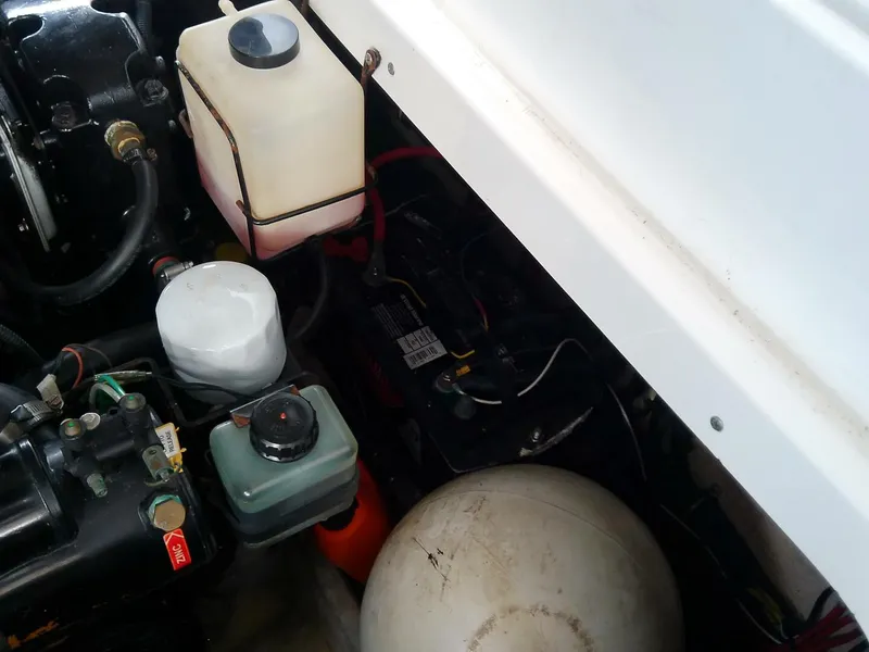 Slide: The Image of Formula 310 Sun Sport 2008 - 5247663