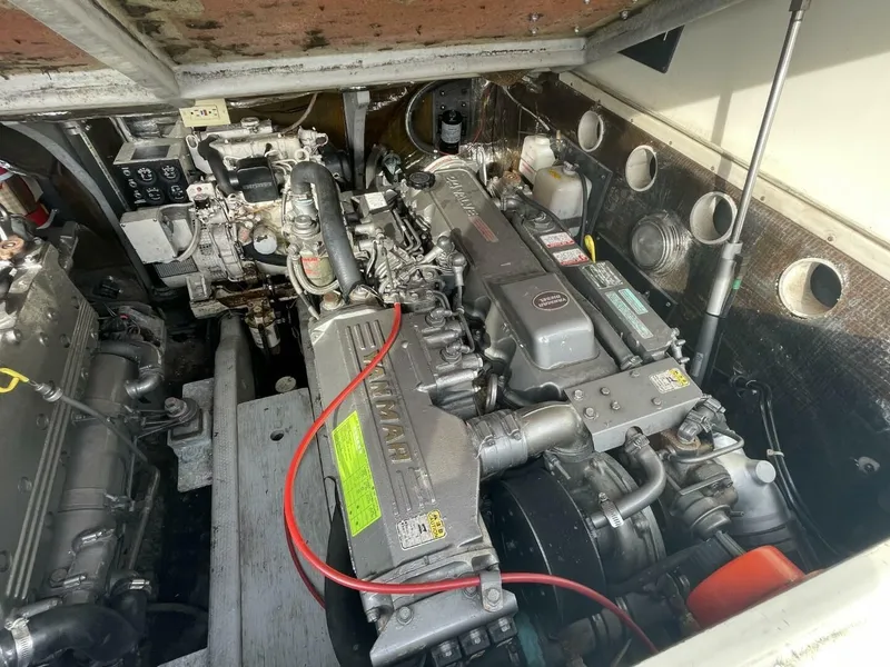 Slide: The Image of Carolina 28 Classic 2003 - 5252216