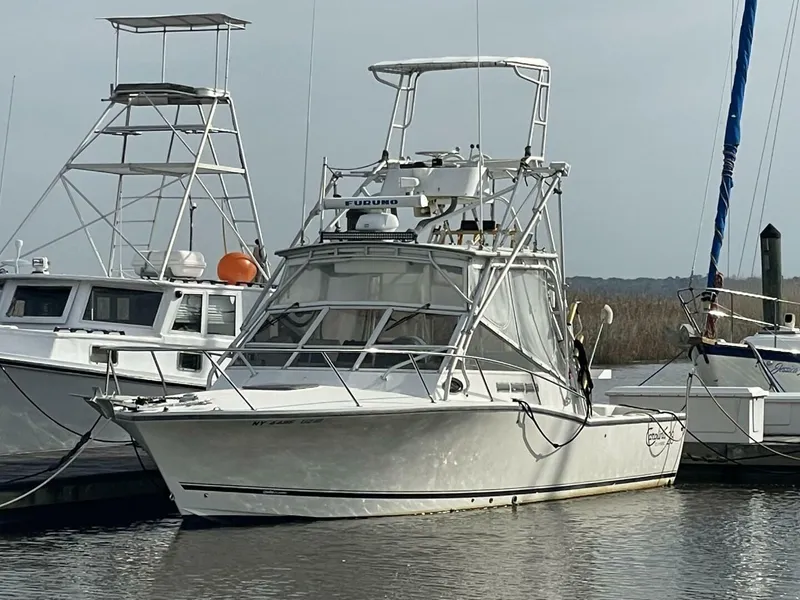 Slide: The Image of Carolina 28 Classic 2003 - 5252223