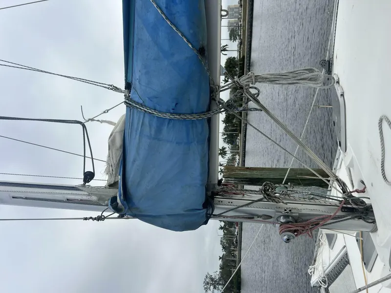 Slide: The Image of Lagoon 37 1995 - 5252155