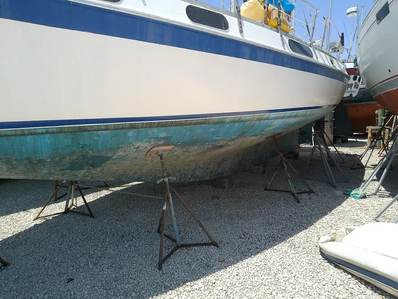 Slide: The Image of Morgan Out Island 41 1975 - 5257145