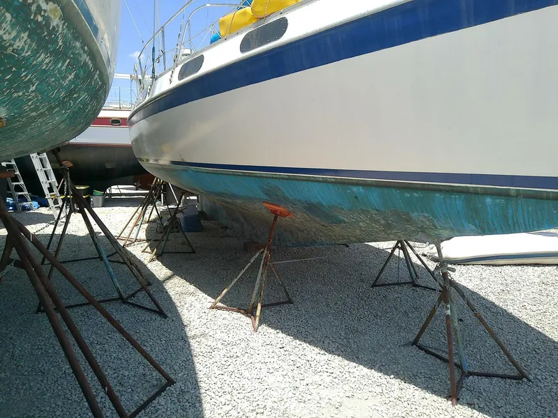 Slide: The Image of Morgan Out Island 41 1975 - 5257146