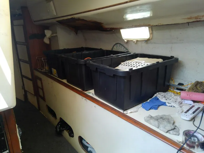 Slide: The Image of Morgan Out Island 41 1975 - 5257173