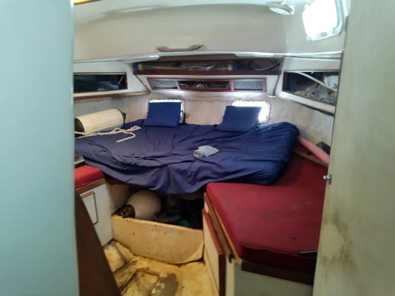 Slide: The Image of Morgan Out Island 41 1975 - 5257174