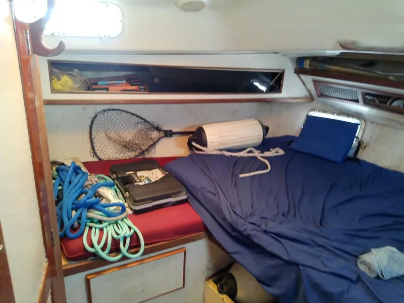 Slide: The Image of Morgan Out Island 41 1975 - 5257175