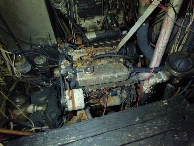 Slide: The Image of Morgan Out Island 41 1975 - 5257182