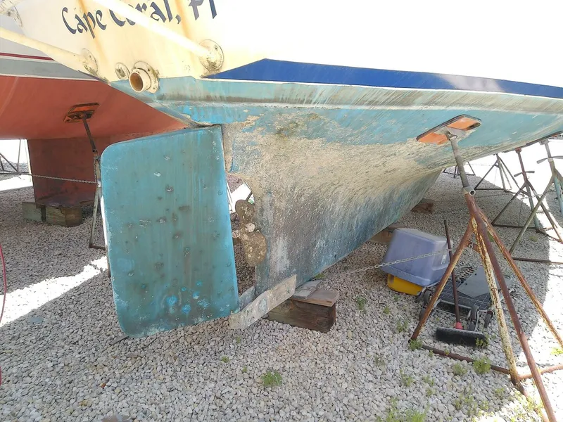 Slide: The Image of Morgan Out Island 41 1975 - 5257147