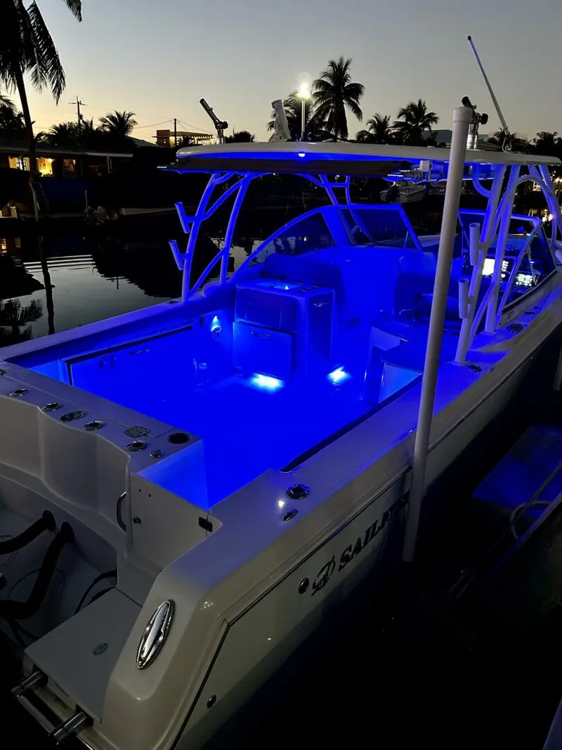 Slide: The Image of Sailfish 32 2017 - 5257904