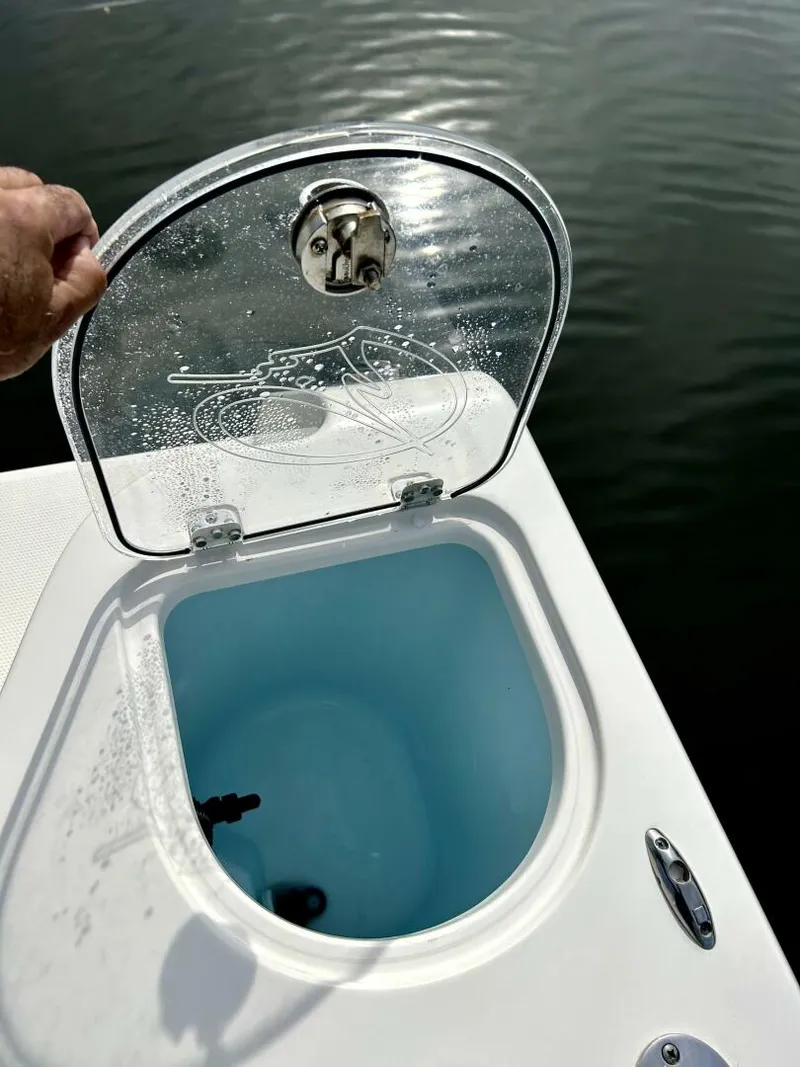 Slide: The Image of Sailfish 32 2017 - 5257940