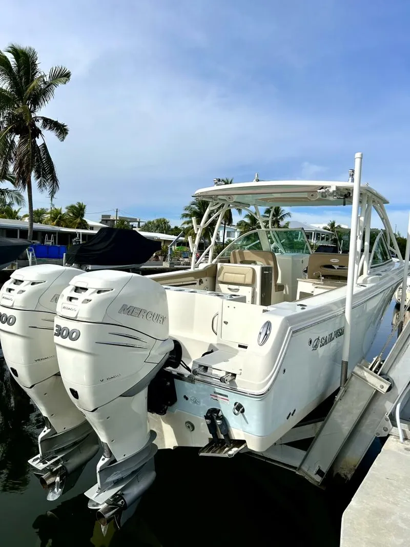 Slide: The Image of Sailfish 32 2017 - 5257944