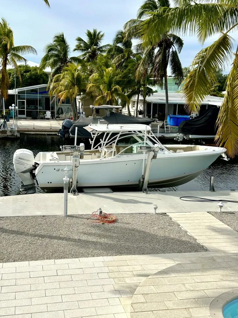 Slide: The Image of Sailfish 32 2017 - 5257954