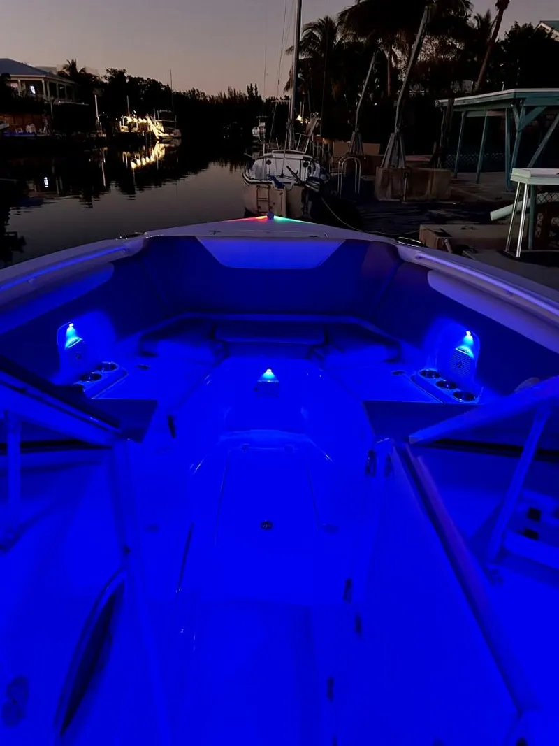 Slide: The Image of Sailfish 32 2017 - 5257903