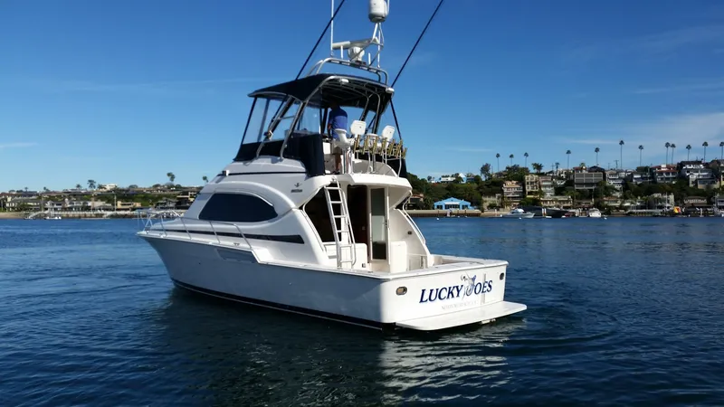 Slide: The Image of Bertram Convertible 2001 - 5281419